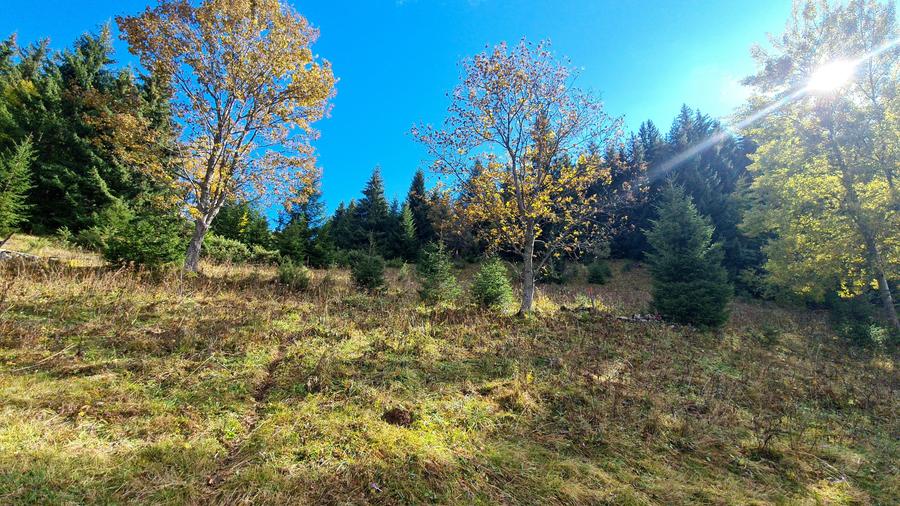 Teren intravilan de 15771 mp, în Fundata