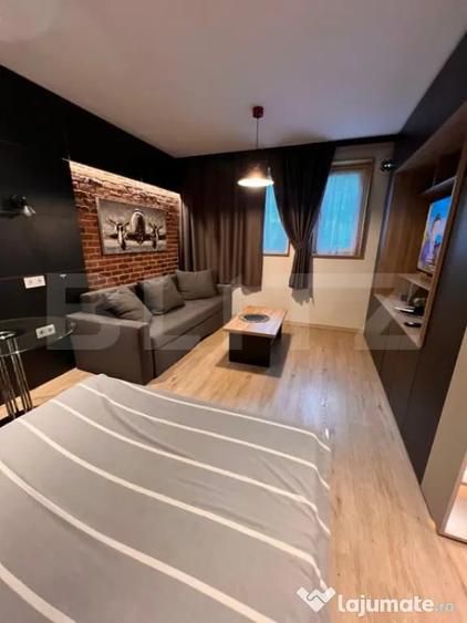 Apartament 1 camera decomandat, premium, de inchiriat - 3