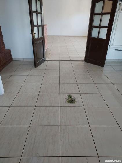 Spațiu comercial, de 100 mp, în Dumitrești