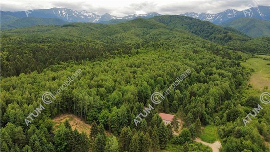 Teren intravilan de 3000 mp, în Porumbacu de Sus