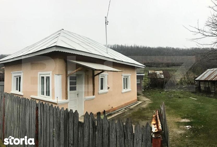 Casa + Teren - 1.724 mp Parcelat de vanzare Valea Mare, Dambovita - 6