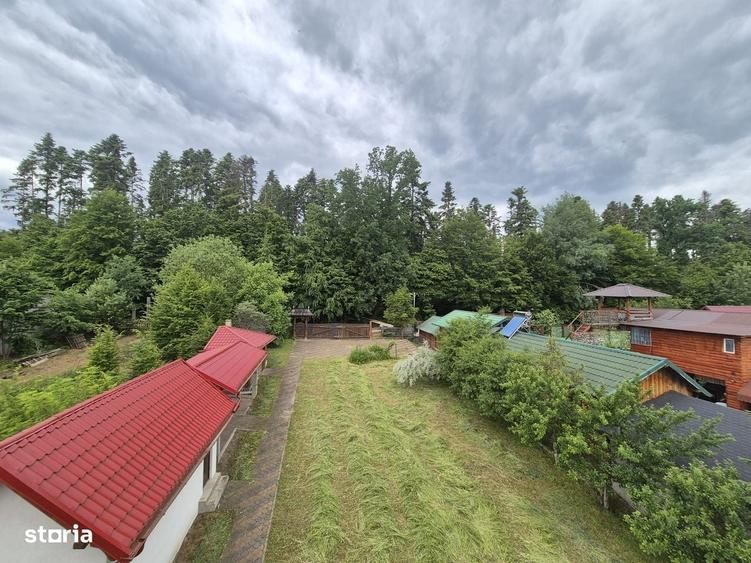 Casă cu 4 camere în Arbore