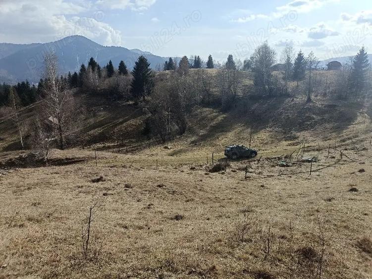 Teren de 3200 mp, în Dâmbovicioara