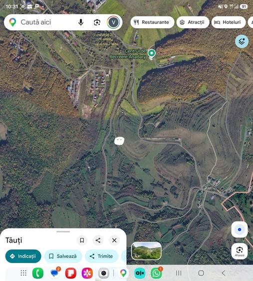 Teren de 10000 mp, în Dosu Bricii