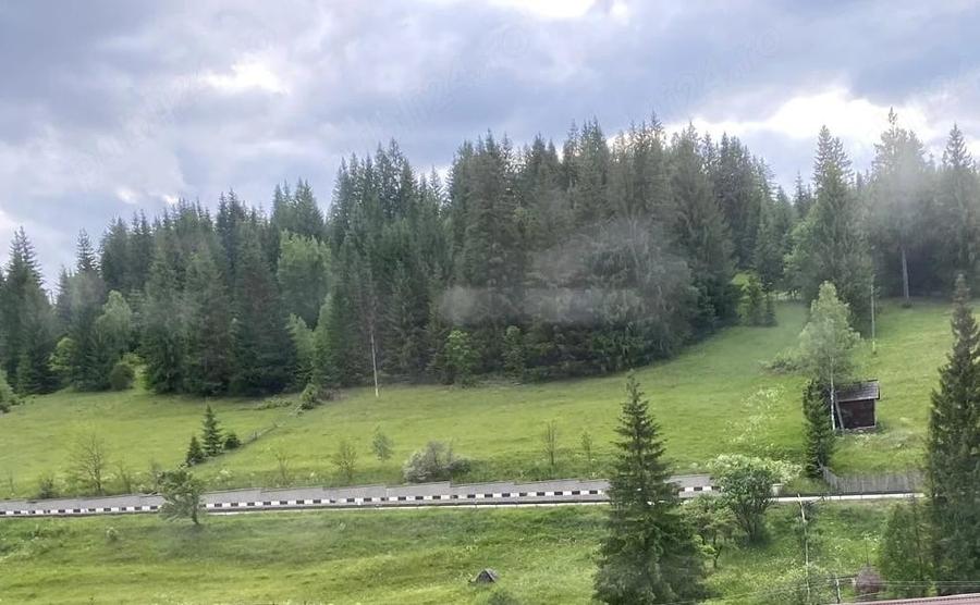 Teren de 4578 mp, în Valea Putnei