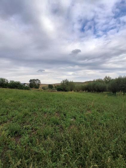 Casă cu 4 camere cu Teren 19 Mp în Horodnic