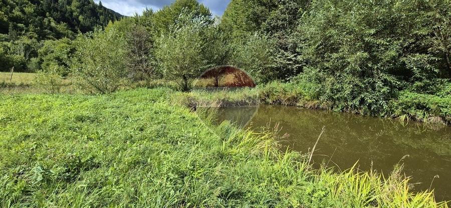 Teren Construcții intravilan de 2800 mp, în Tarcău