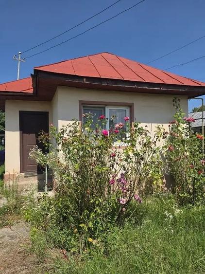 Casa + teren de vanzare - 27