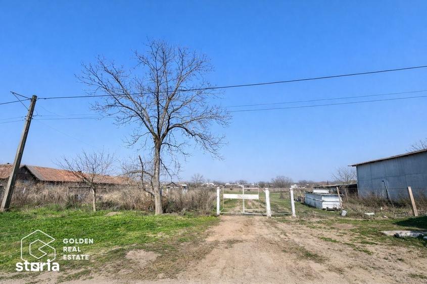 Teren de 821 mp, în Zimandu Nou