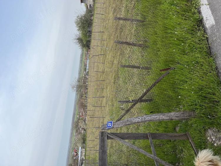 Teren de 2000 mp, în Țuglui