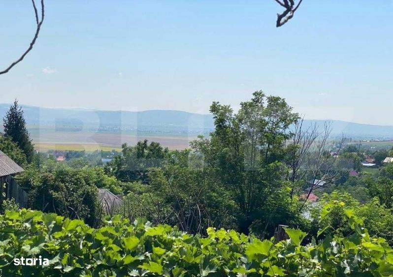 Casă cu 2 camere cu Teren 9500 Mp în Sacoșu Mare