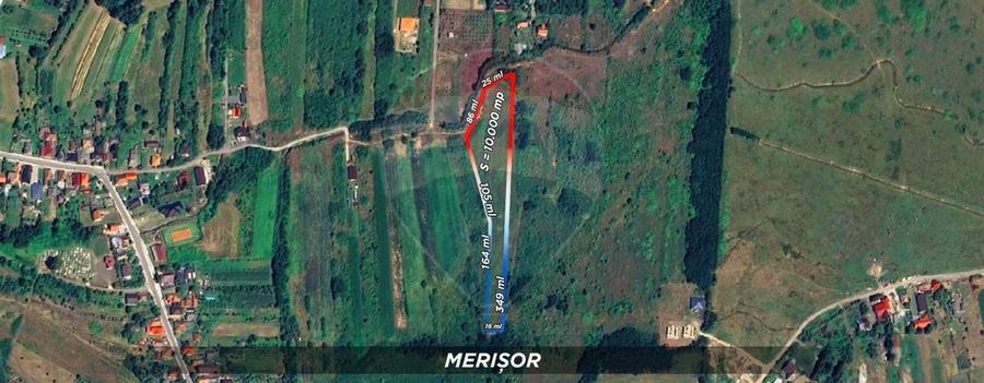 Teren Construcții intravilan de 10000 mp, în Merișor