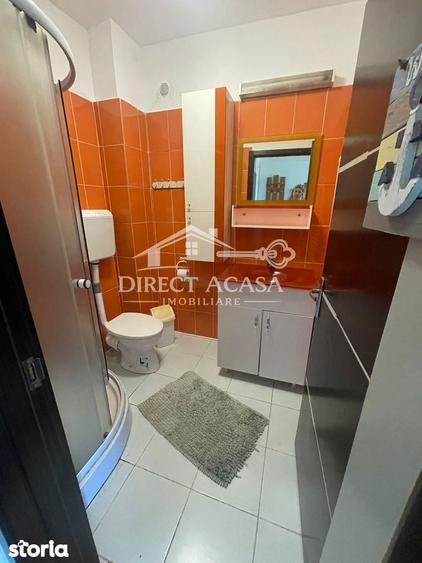 Apartamente 1 camera, garsoniera (Pet-Frendly)-Str Somnului-Libertati - 9