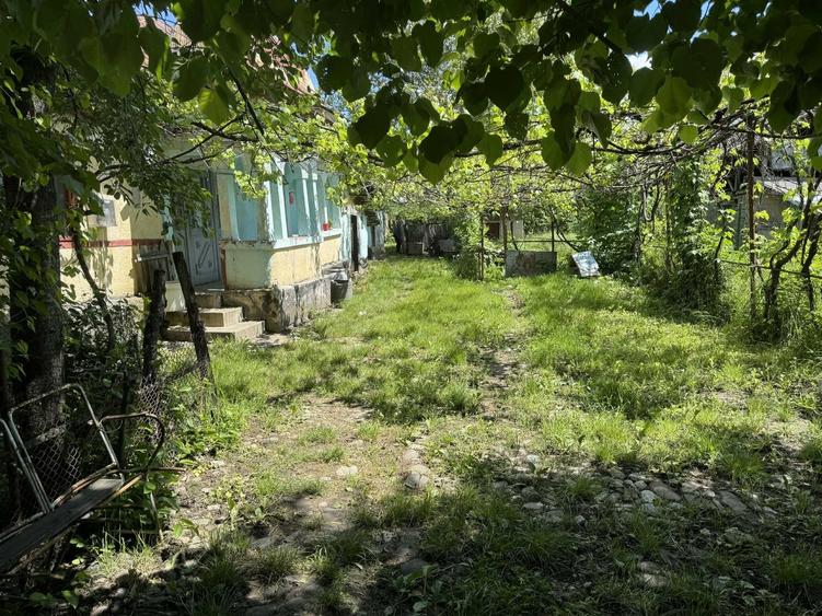 Casă cu 2 camere în Zahanaua