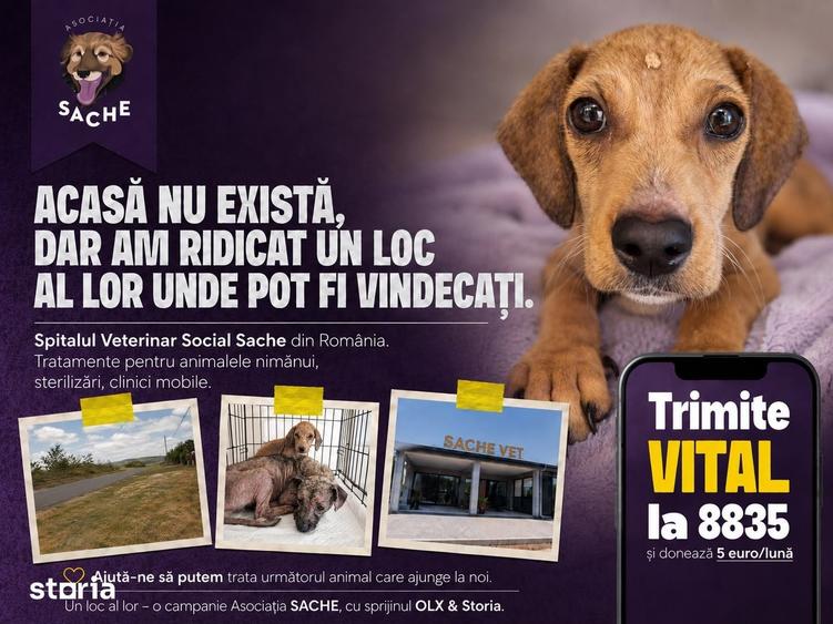 Teren în Colentina