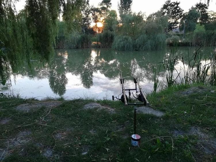 Teren de 2 mp, în Central