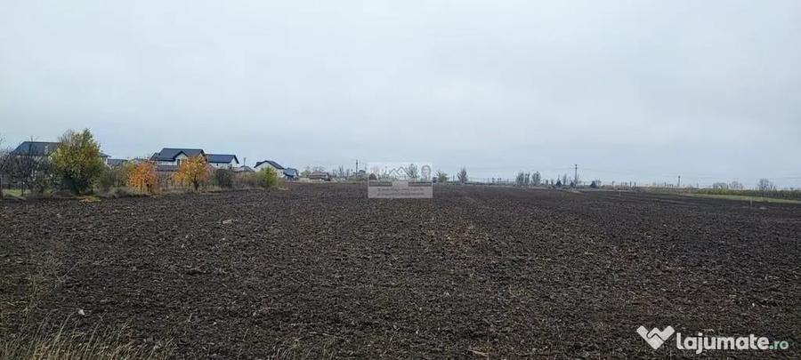 Teren de 27223 mp, în Est