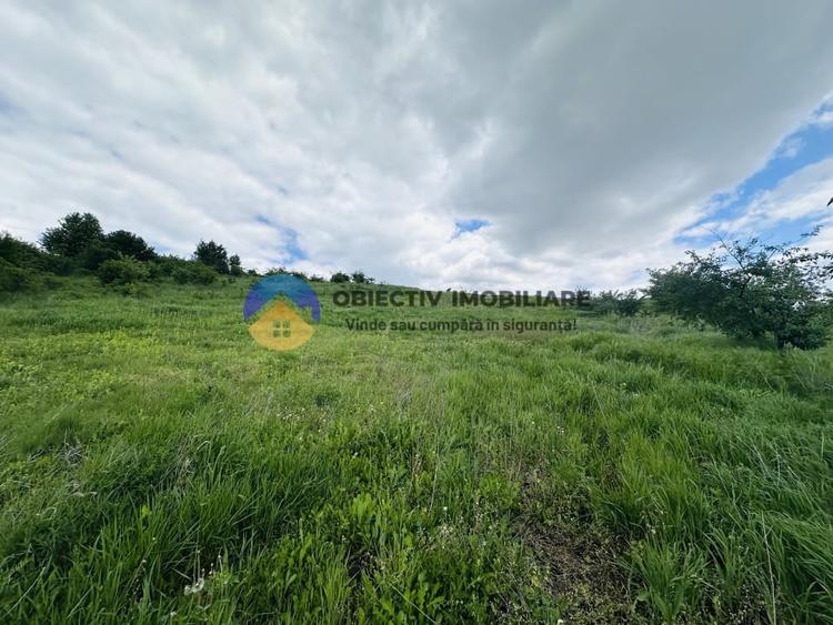 Teren agricol intravilan de 3000 mp, în Ciritei