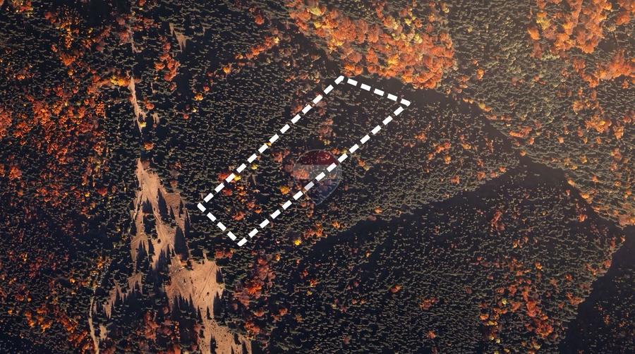 Teren agricol extravilan de 7000 mp, în Gârcini