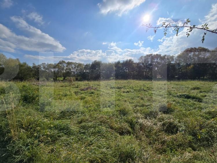 Teren agricol intravilan de 1200 mp, în Sălicea