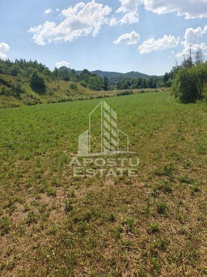 Teren agricol intravilan de 2848 mp, în Negoiu