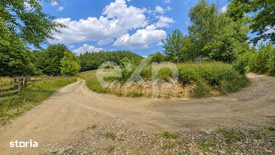 Teren de 7265 mp, în Vulcan