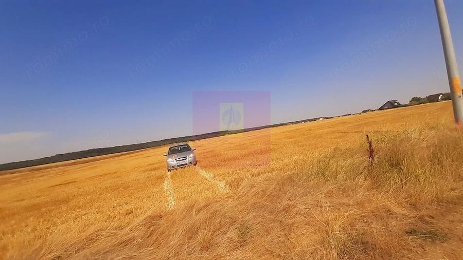 Teren de 2000 mp, în Brănești
