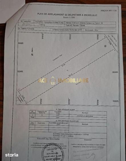 Teren Intravilan Domnesti | 1200mp | Posibilitate constructie | - 4