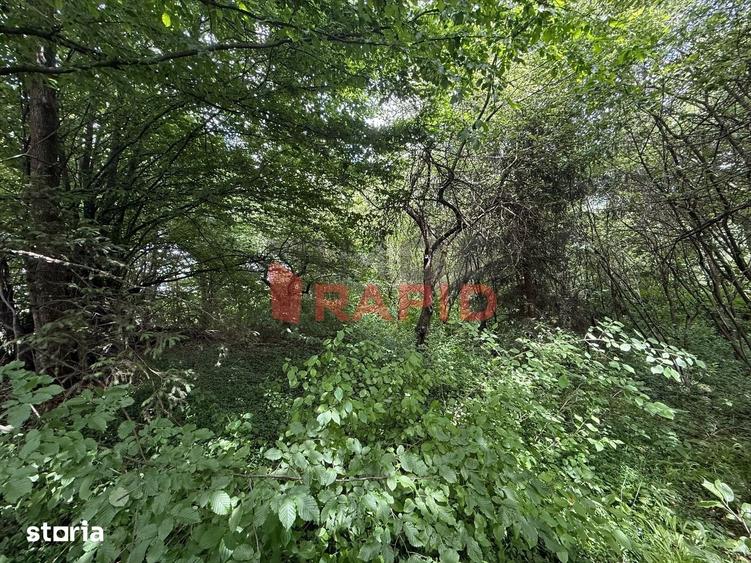 Teren intravilan, 3436mp, Zona Podul Jelnei - 2