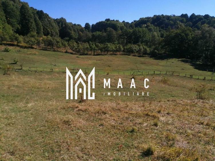 Teren agricol extravilan de 20000 mp, în Stoenești