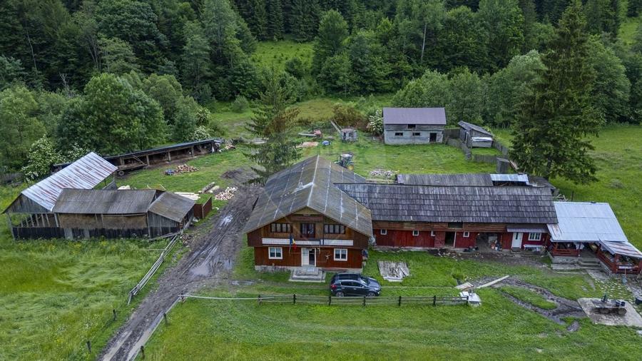 Proprietate specială, de 680 mp, în Coșnea