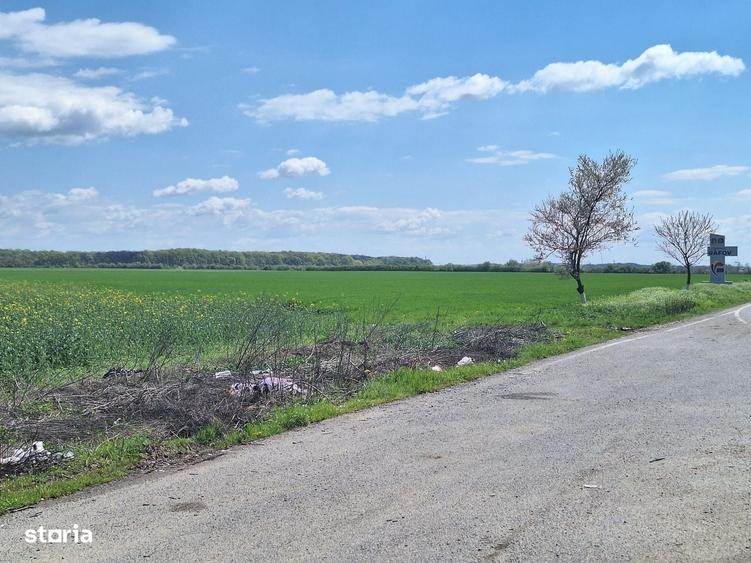 Vand Teren 3,25Ha Ghighiu,Sat Barcanesti,Autostrada A3-Dj101,Prahova - 5