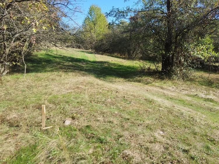 Teren de 8600 mp, în Baia de Fier
