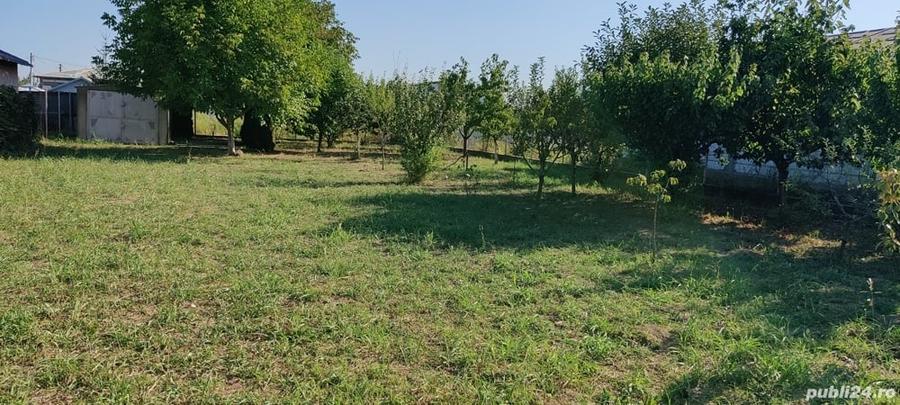 Teren de 650 mp, în Central