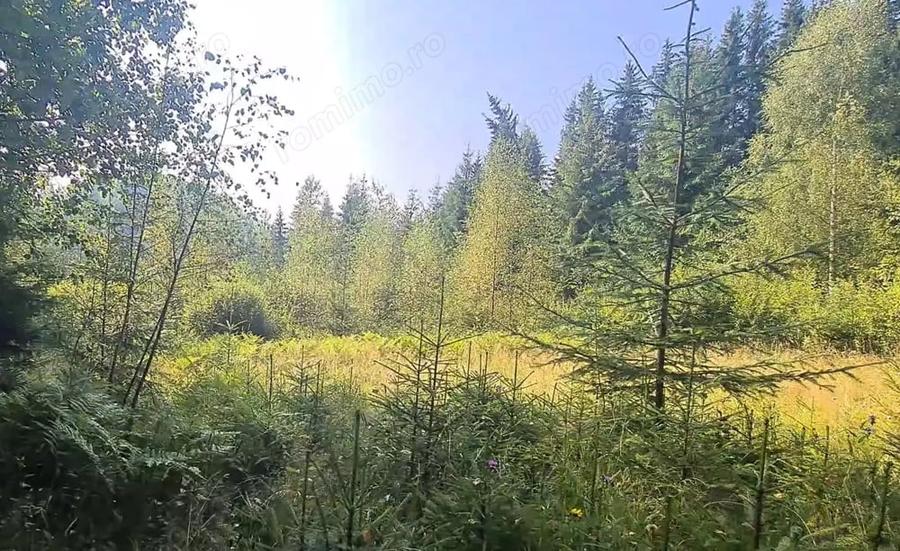 Teren de 6450 mp, în Neagra