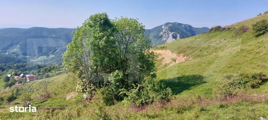 Teren de 3800 mp, în Râmeț