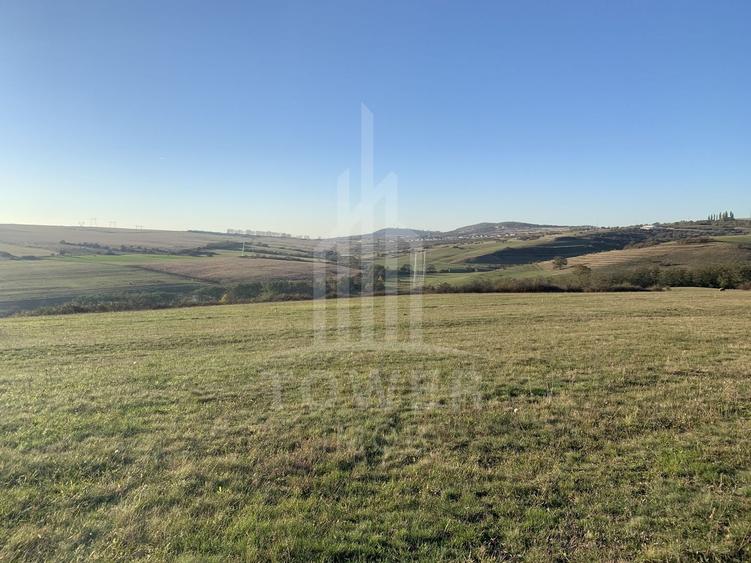 Teren agricol extravilan de 650 mp, în Daia