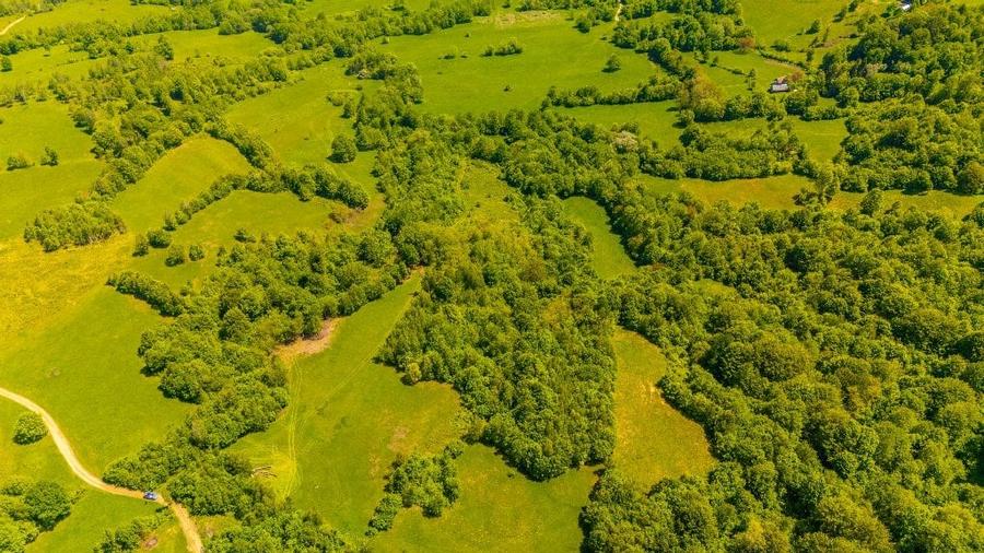 Teren agricol extravilan de 18860 mp, în Șinca Nouă