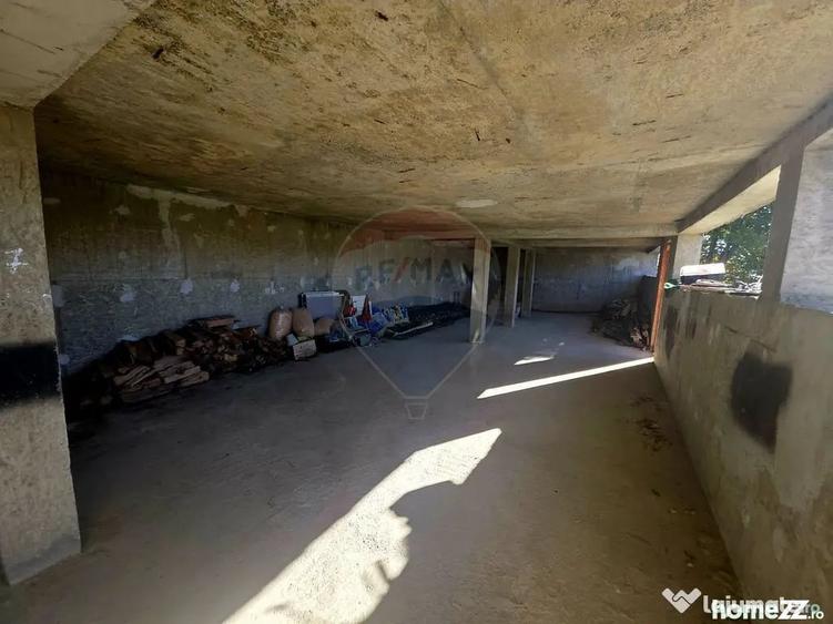 Casă cu 5 camere cu Teren 2700 Mp în Alexandru cel Bun