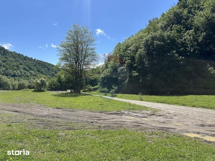 Teren de 1340 mp, în Gârcina