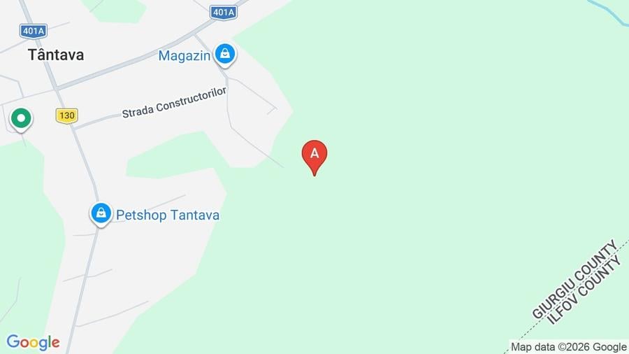 Teren agricol extravilan de 2500 mp, în Grădinari
