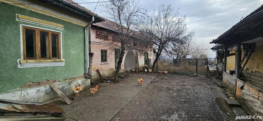 Casă cu 3 camere în Central