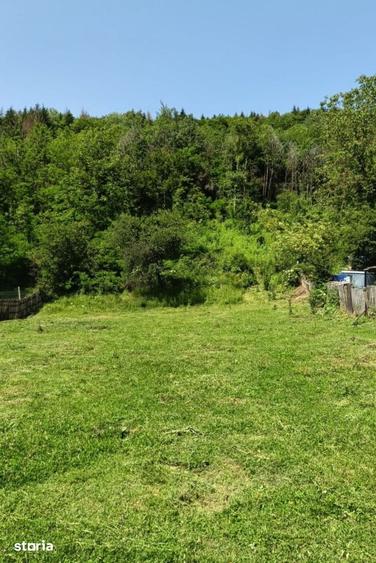 Teren de 4000 mp, în Aninoasa