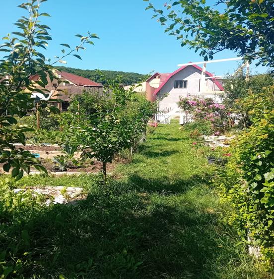 Casă cu 4 camere cu Teren 1100 Mp în Mănăștur