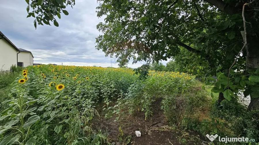 Teren intravilan 2600 mp de vanzare, Ipote?ti- Lisaura,... - 2