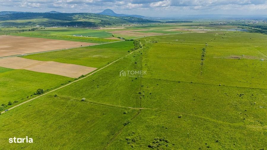 Spațiu comercial, în Tohanu Nou
