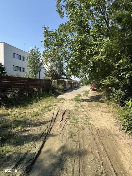 Spațiu comercial, în Mogoșoaia
