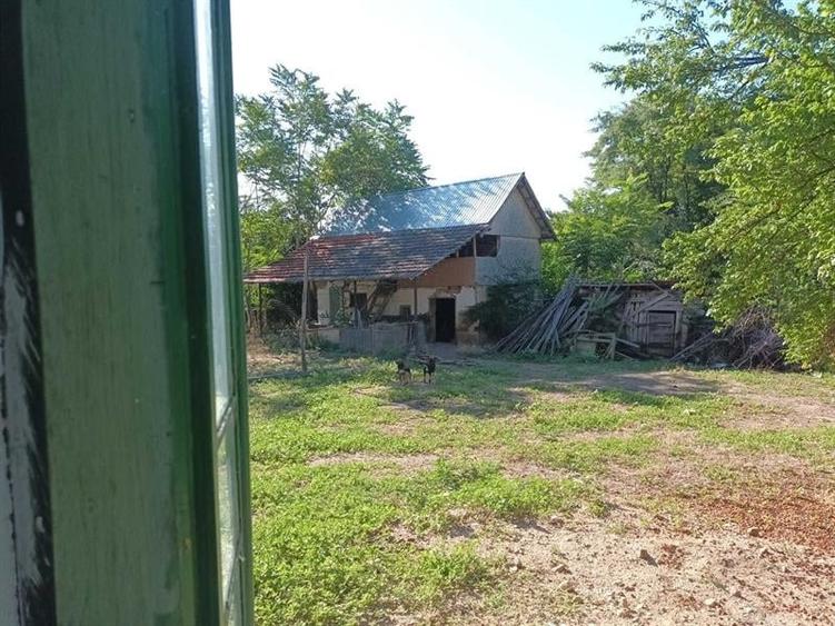 Casă individuală cu 3 camere cu Teren 12000 Mp în Goicea