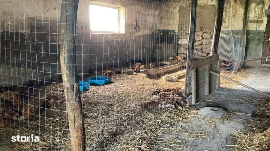 Casă cu 3 camere cu Teren 60 Mp în Petroșani