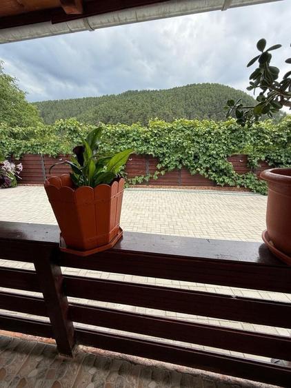 Casa de vanzare in Rasinari cu 1350 mp teren - 6